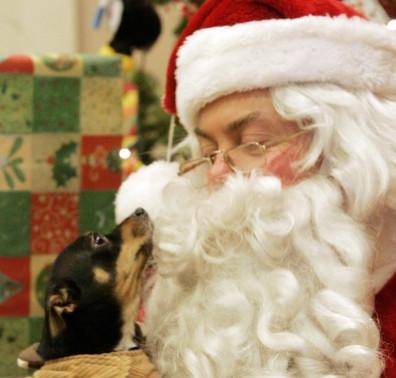 pet Santa Photos at the HSSA